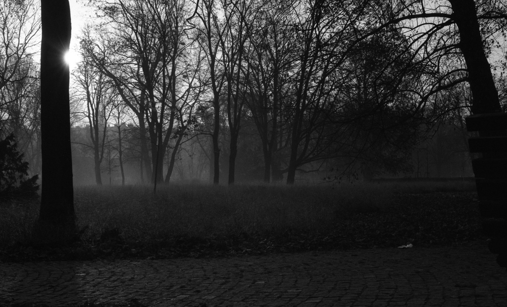 Kiev 4 + Helios 103 - Mist in the Park