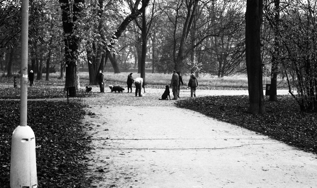 Kiev 4 + Helios 103 - People Walking Dogs in the Park