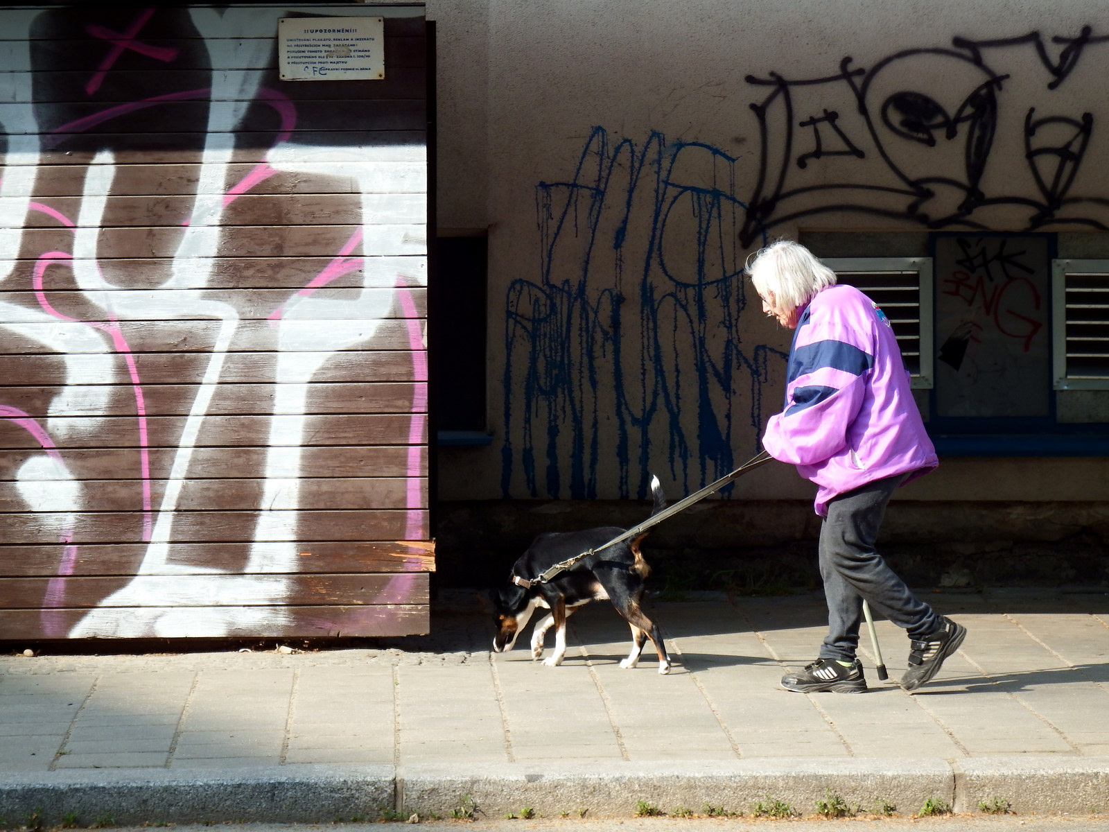 Old Woman with Young Dog