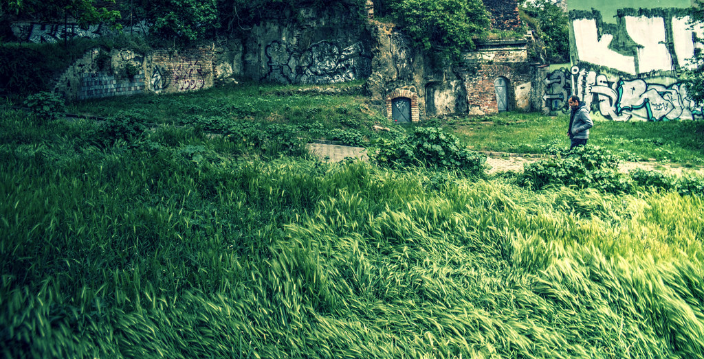 Man, Grass, Wind and Ruins