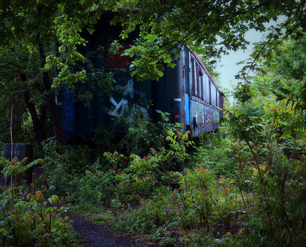 Abandoned Carriage