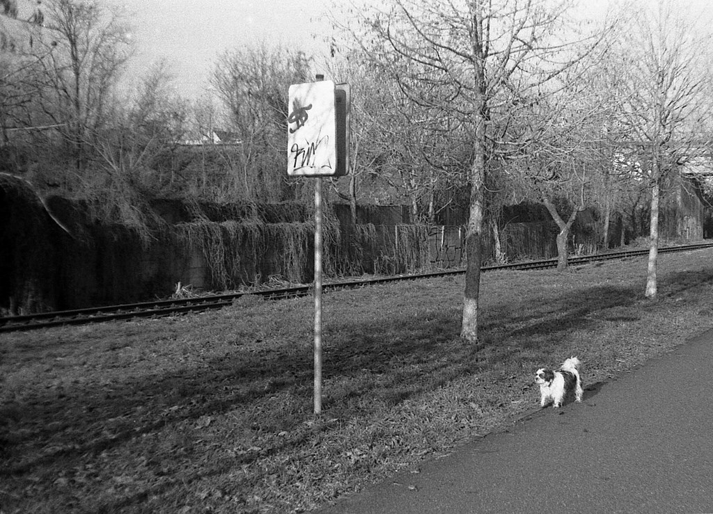 Orion EE - Landscape with a Doggie 02